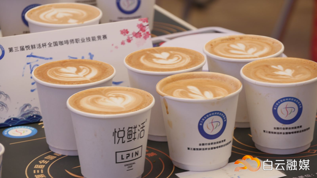 广州白云发布：这场国家级赛事在白云开赛，现场高手云集→（转载）